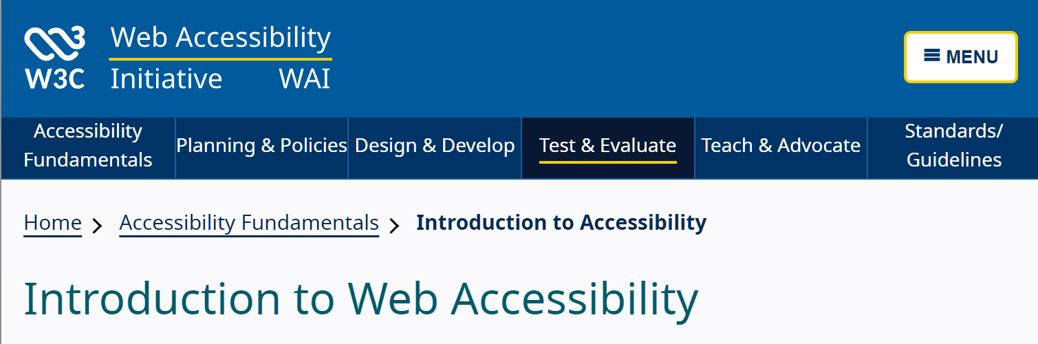 W3C Web Accessibility Initiative